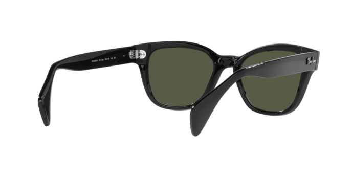 Ray Ban RB0880S 901/31  